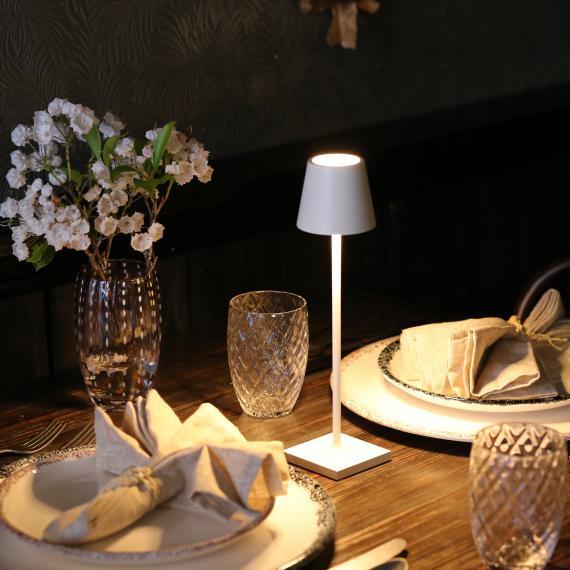 POLDINA PRO MICRO Akku Tischleuchte